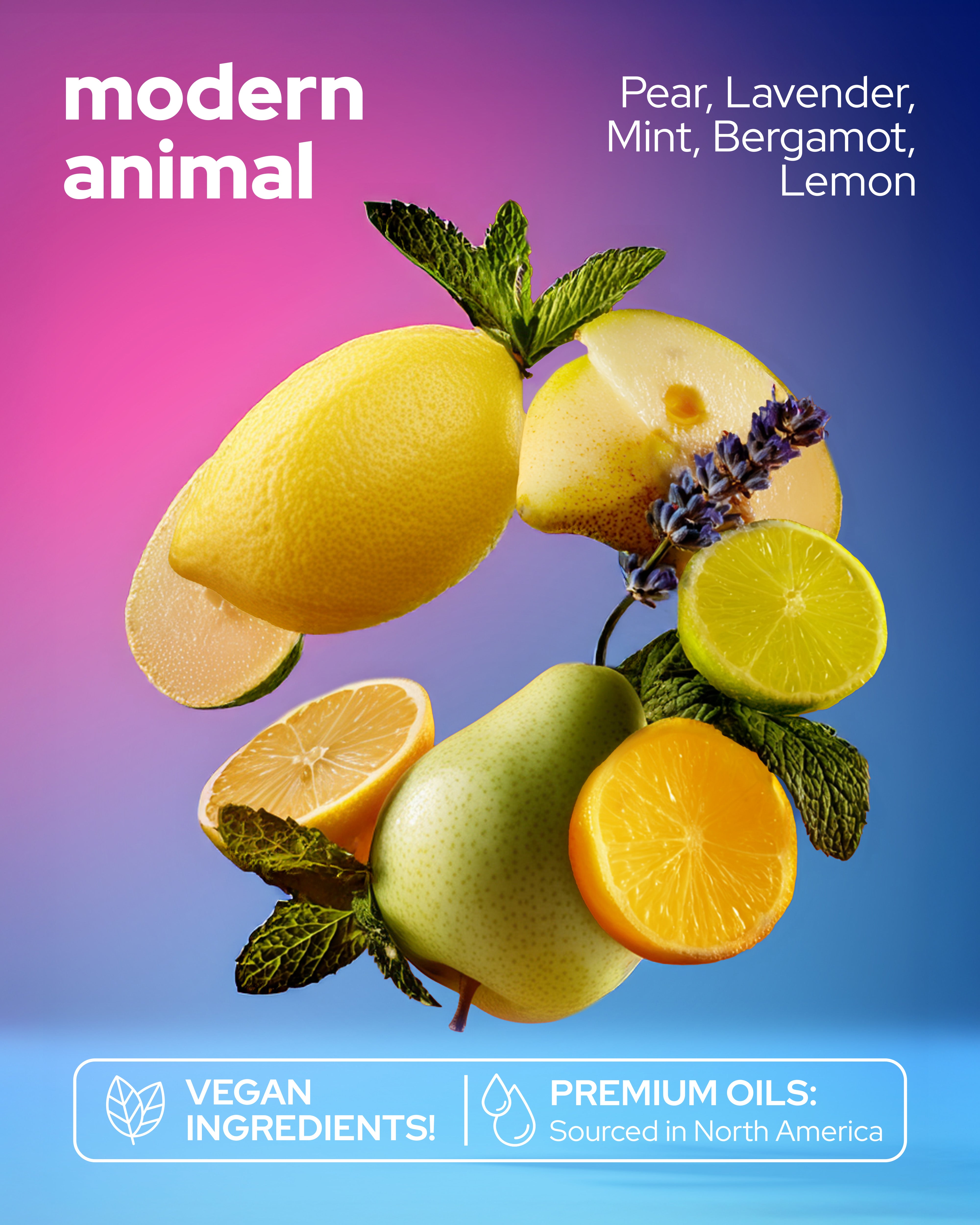 Animaux modernes